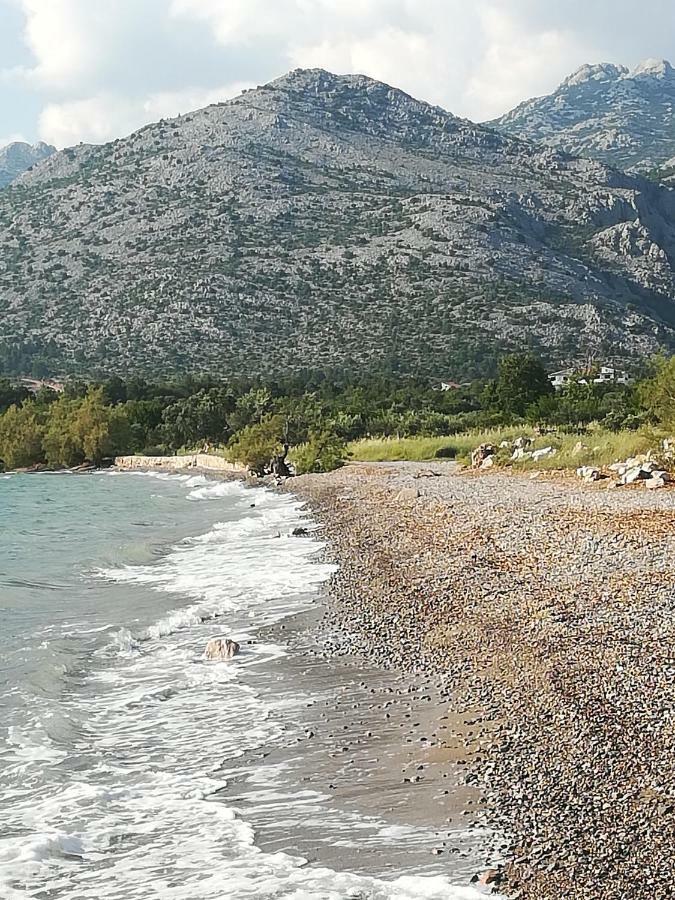 Apartments Veni Up Starigrad Paklenica Exterior photo