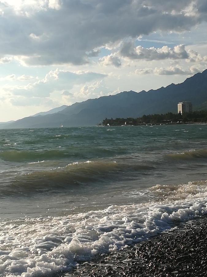 Apartments Veni Up Starigrad Paklenica Exterior photo